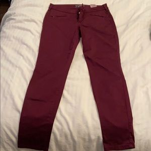 Guess Dress pants or casual pants